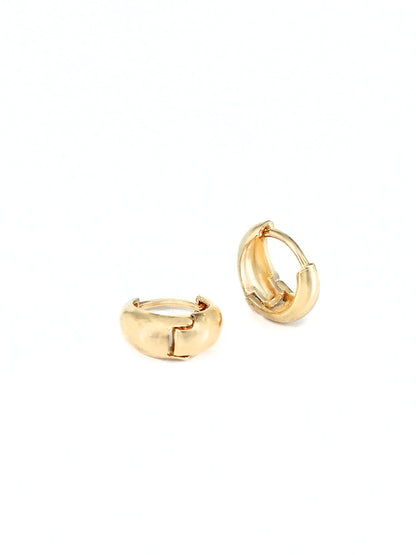 Small Hoop Earrings